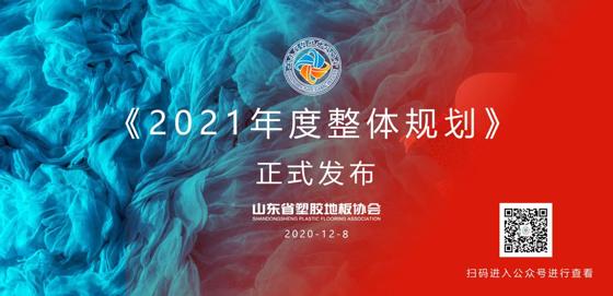 山東省塑膠地板協(xié)會(huì )2021年度整體規劃